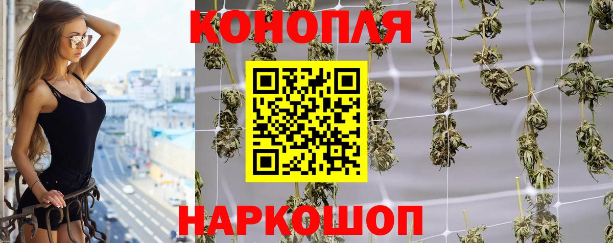 Канабис семена Сегежа